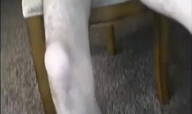 Monster Latin Cock Masturbating