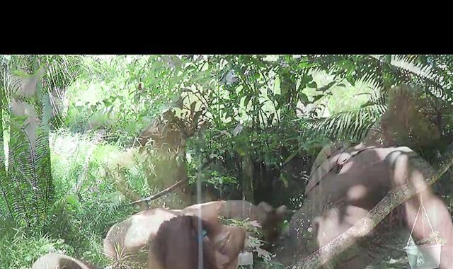 Duo Suck HD gay Porn