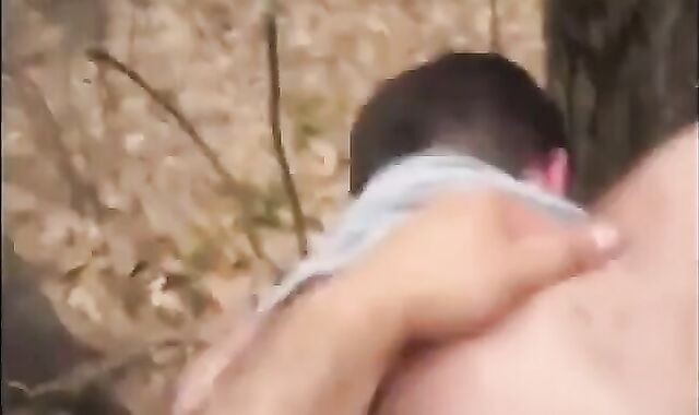 Amateur Bears in the Woods