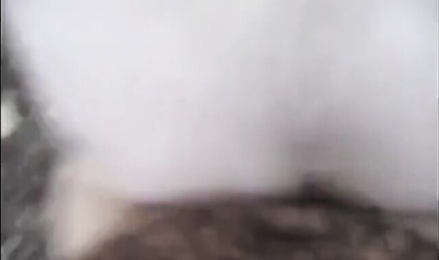 Amateur Bears in the Woods