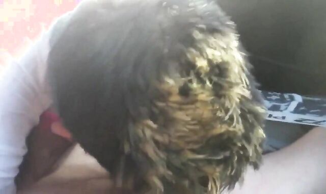 Road Trip BJ: Big Cock Amateur Blows 2