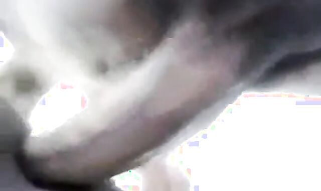 Daddy's Amateur Adventure 2