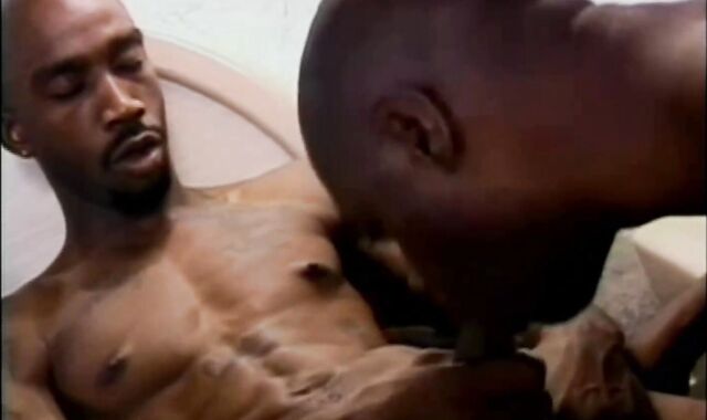 Bam Kolby Bird Oscar Ray Don Ricky Parker Steve Candy And