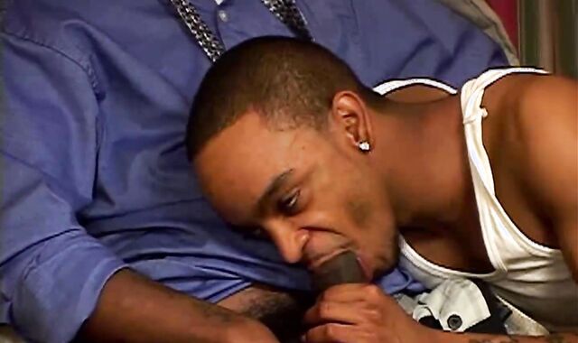 Casino Chaos Dutch Muzario Peanut Pinky Polo Spades And 3