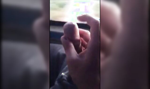 Big Dick Blowjob in a Bus