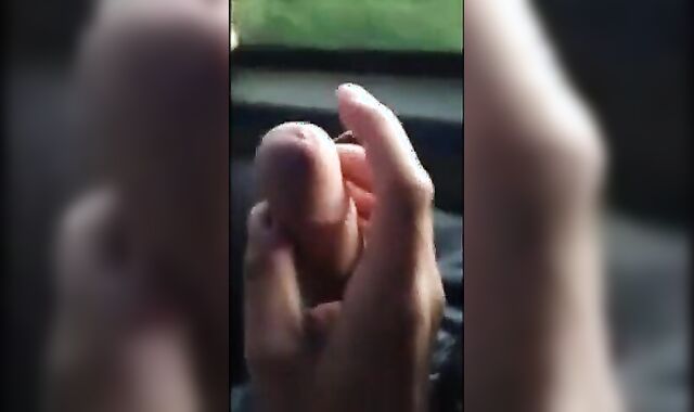 Big Dick Blowjob in a Bus