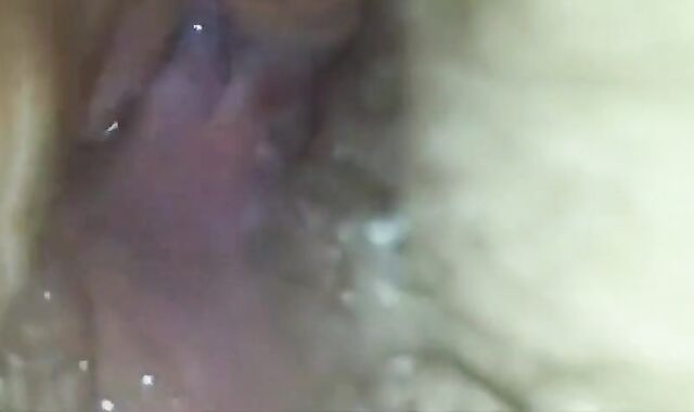 Bareback Ride: Amateur's Hairy Adventure