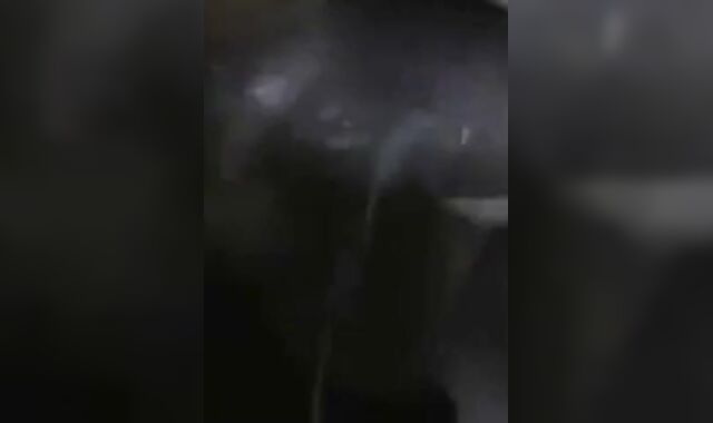 Docking, Cumming, and Tributes