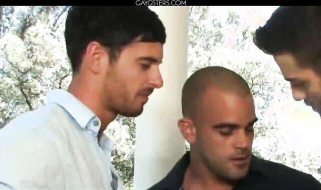 Tommy Defendi Damien Crosse And Donny Wright