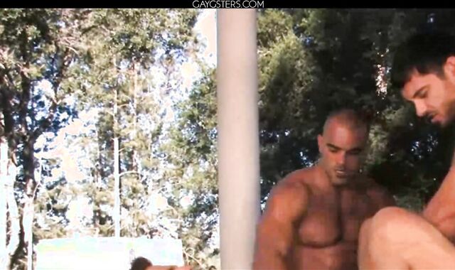 Tommy Defendi Damien Crosse And Donny Wright