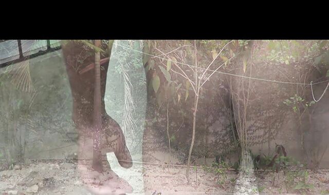 Emilio 1 HD gay Porn