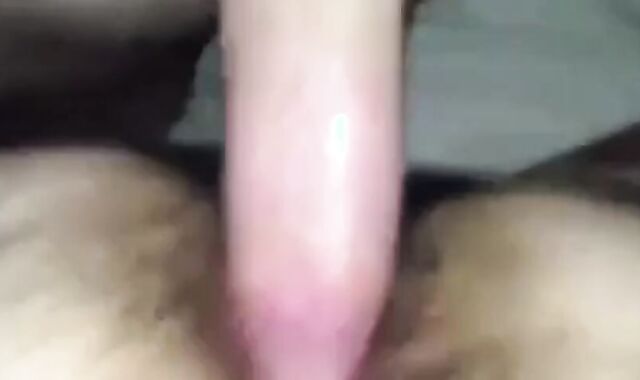 Big Daddy Bear Feeds His Hungry Pup