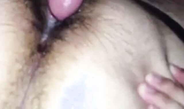 Big Daddy Bear Feeds His Hungry Pup