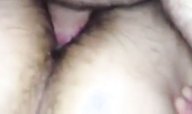 Big Daddy Bear Feeds His Hungry Pup