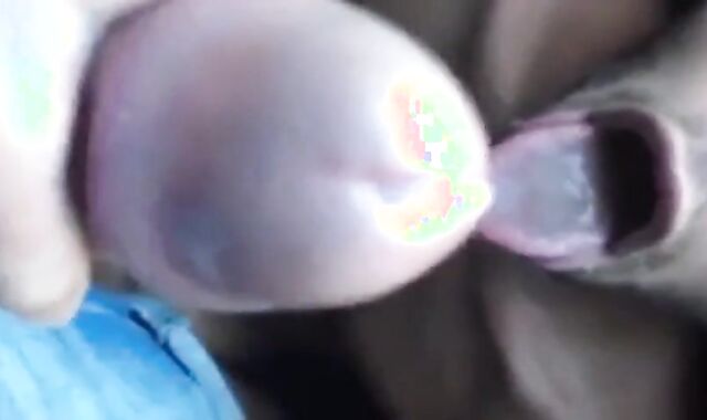 Bukkake Facial for the Horny Amateur Man