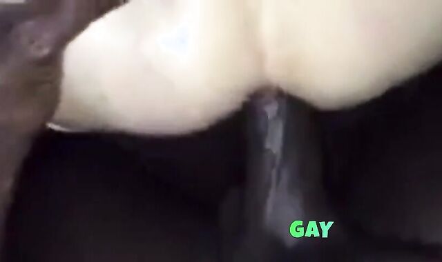 Last Summer's Interracial Bareback Fuck