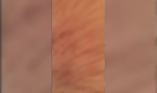 Stranger Beach Fuck with a Big-Cock Daddy Bear