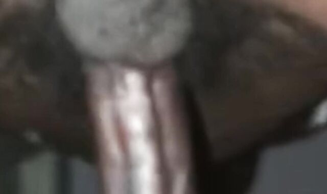 BBC black cock