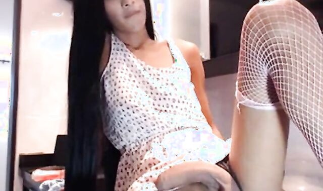 Latin Tgirl Holly's Amateur Webcam Show