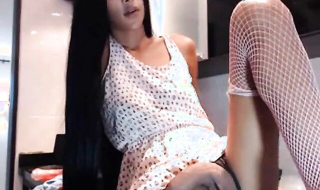 Latin Tgirl Holly's Amateur Webcam Show
