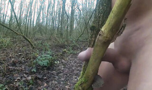 Forest Handjob