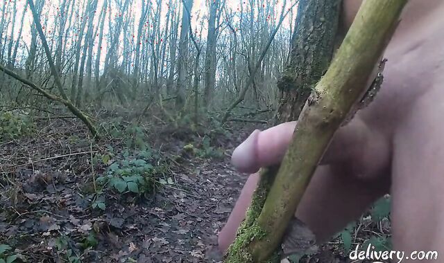 Forest Handjob
