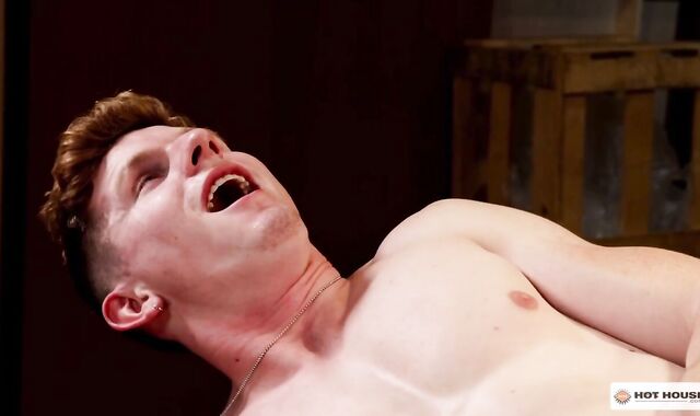 HotHouse.com - Deep throating beef whistle accompanied by bodybuilder