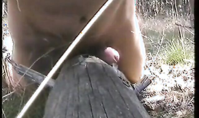 Outdoor Handjob Fun: Tree Trunk Humping Adventure