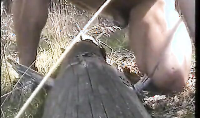 Outdoor Handjob Fun: Tree Trunk Humping Adventure