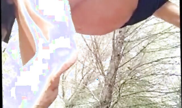 Daddy Bear's Outdoor Cruise