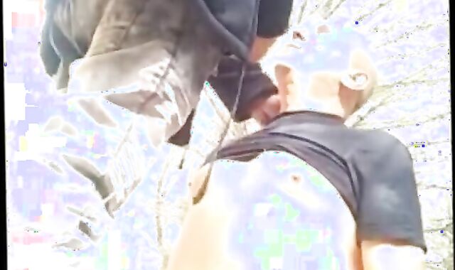 Daddy Bear's Outdoor Cruise