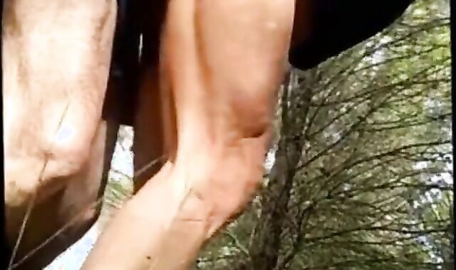 Daddy Bear's Outdoor Cruise