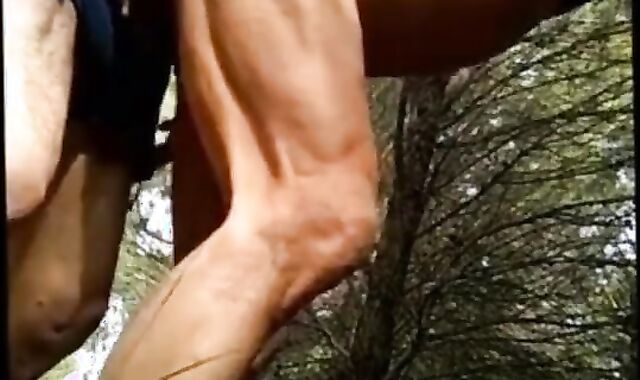 Daddy Bear's Outdoor Cruise