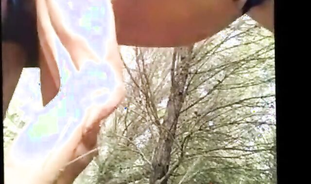 Daddy Bear's Outdoor Cruise