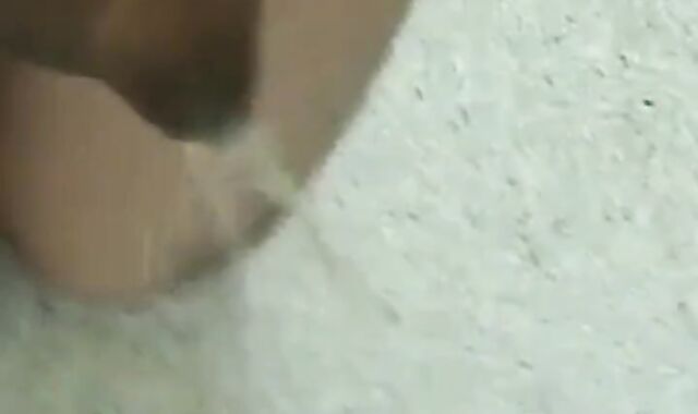 Japanese Outdoor Small Cock Fun