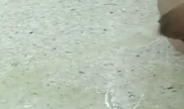 Japanese Outdoor Small Cock Fun