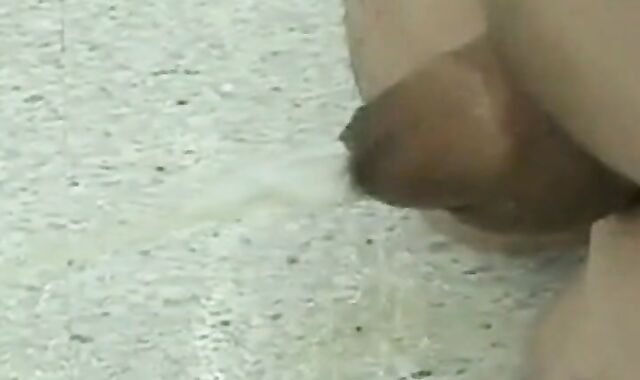 Japanese Outdoor Small Cock Fun