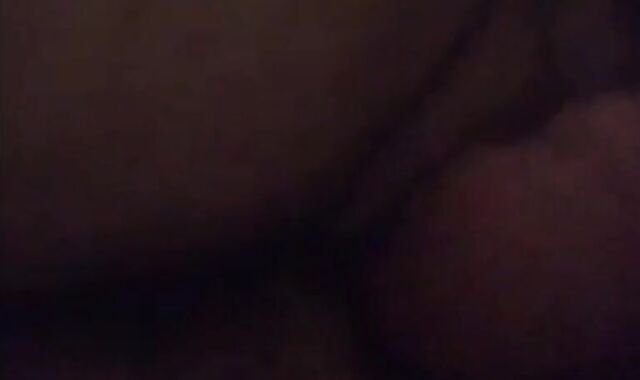 Amateur Bears Home Video