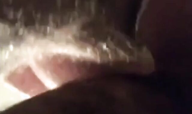 Amateur Bears Home Video