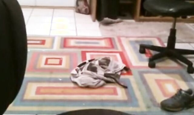 Fat Daddy Strips and Strokes on Webcam