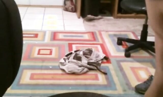 Fat Daddy Strips and Strokes on Webcam