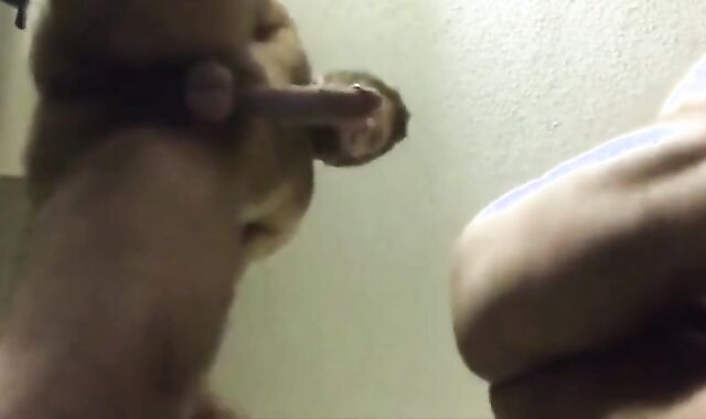 Bareback Ride: Amateur's Hairy Adventure 2