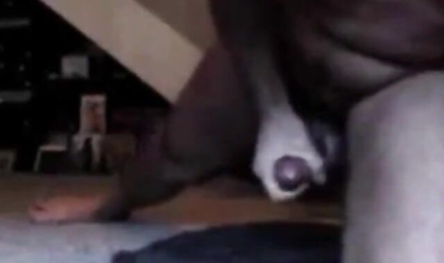 Amateur Daddies and Bears Masturbating