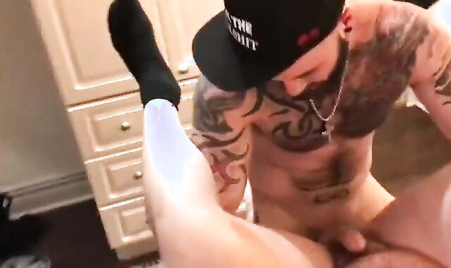 beautiful magnificent strenuous fur covered boyz