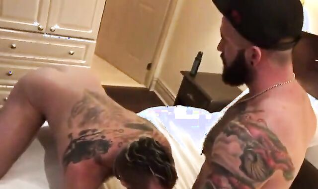 beautiful magnificent strenuous fur covered boyz