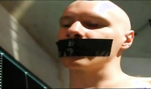 Berlin Beer thraldom Pigs