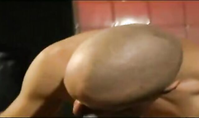 Berlin Beer thraldom Pigs