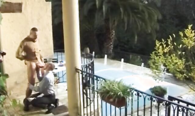 huge beef whistle French Dad