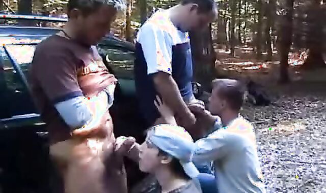 2 Bears bang youthful Hitchhikers