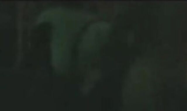 Ex-Hubby Turns Cock-Loving Cumslut for Big Bareback Dick